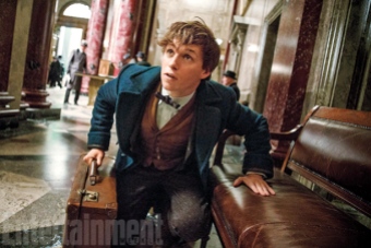 Eddie Redmayne as Newt Scamander in 'Fantastic Beasts and Where to Find Them'