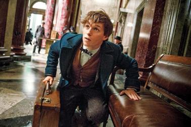 Eddie Redmayne in FANTASTIC BEASTS AND WHERE TO FIND THEM